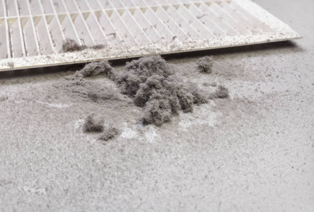 Best Affordable HVAC Duct Cleaning  in Helena Valley West Central, MT